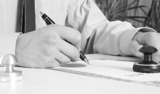 presupuestos sin cargo